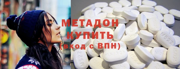 прущие грибы Михайловск