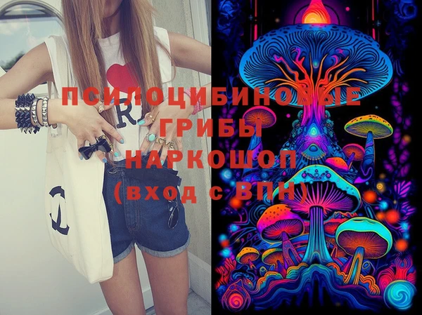 молекула духа Абдулино